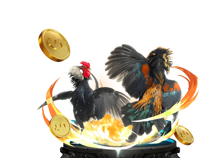 Đá gà Thomo Campuchia tại Lucky 88